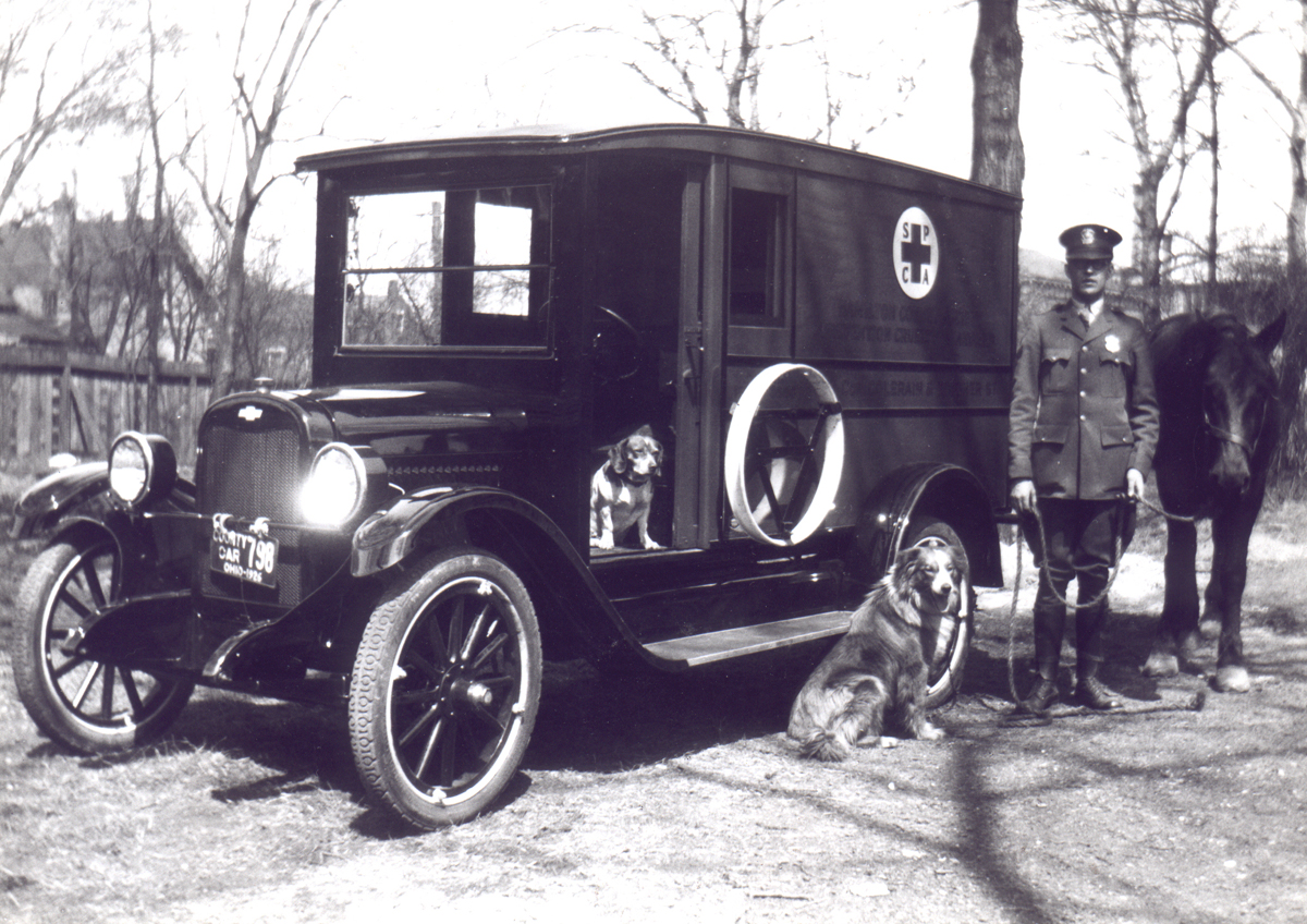 Cincinnati animal shelter ambulance